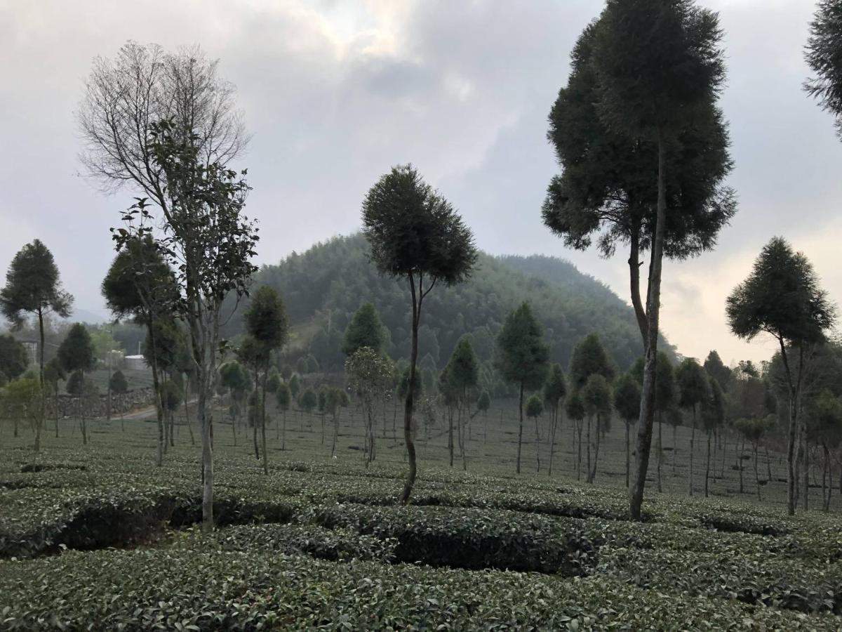 Villa 悟 佐茶 Satori Tea Leye Exterior foto